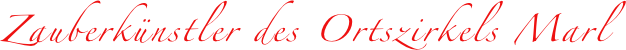 Zauberkünstler des Ortszirkels Marl